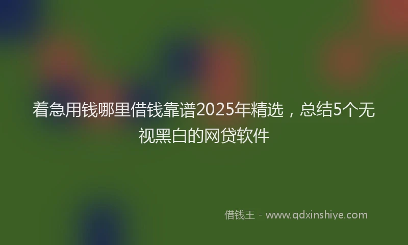 着急用钱哪里借钱靠谱2025年精选，总结5个无视黑白的网贷软件
