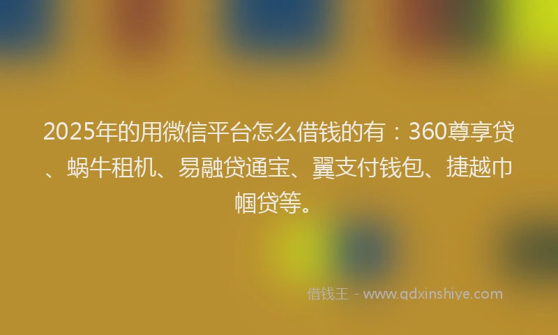 2025年的用微信平台怎么借钱的有：360尊享贷、蜗牛租机、易融贷通宝、翼支付钱包、捷越巾帼贷等。