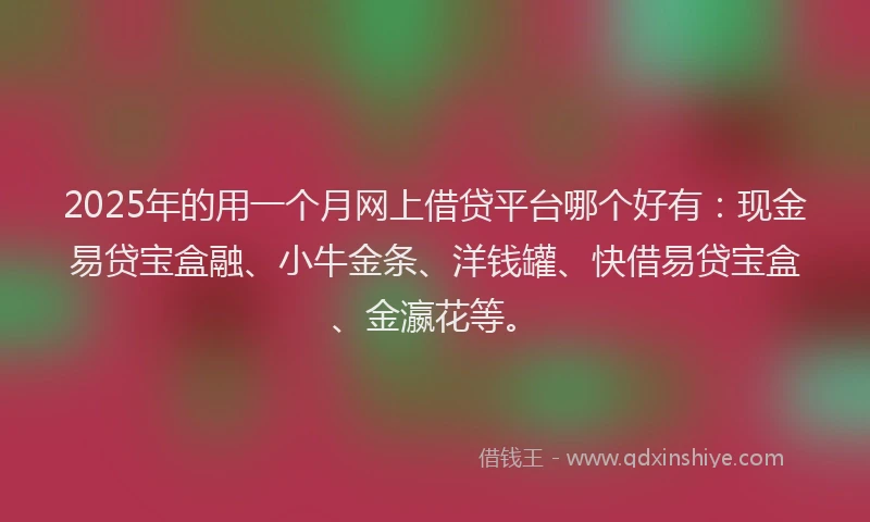 2025年的用一个月网上借贷平台哪个好有：现金易贷宝盒融、小牛金条、洋钱罐、快借易贷宝盒、金瀛花等。