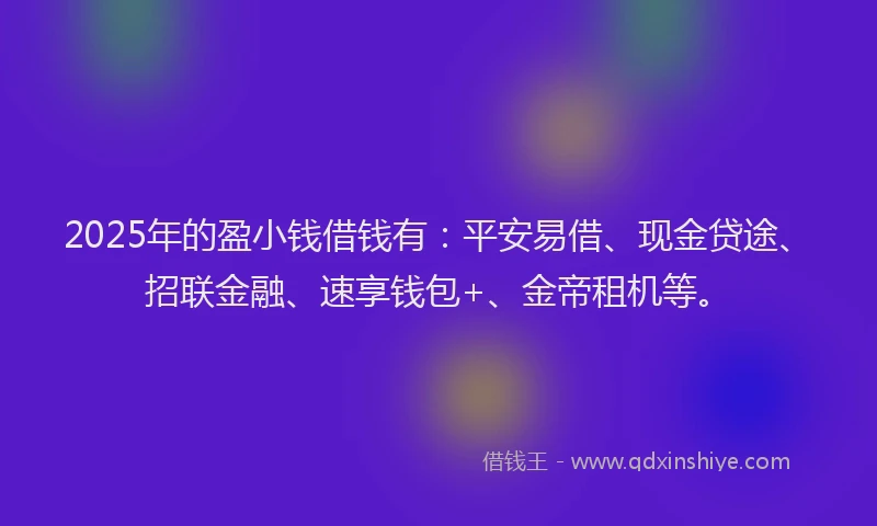 2025年的盈小钱借钱有：平安易借、现金贷途、招联金融、速享钱包+、金帝租机等。
