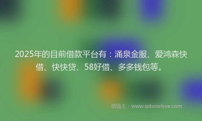 2025年的目前借款平台有：涌泉金服、爱鸿森快借、快快贷、58好借、多多钱包等。