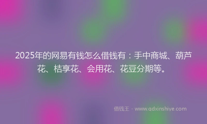 2025年的网易有钱怎么借钱有：手中商城、葫芦花、桔享花、会用花、花豆分期等。