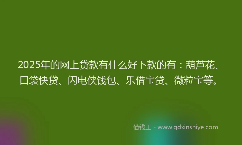 2025年的网上贷款有什么好下款的有：葫芦花、口袋快贷、闪电侠钱包、乐借宝贷、微粒宝等。