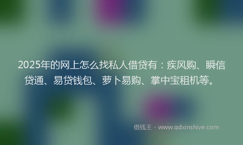 2025年的网上怎么找私人借贷有：疾风购、瞬信贷通、易贷钱包、萝卜易购、掌中宝租机等。
