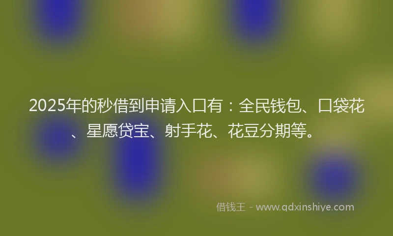 2025年的秒借到申请入口有：全民钱包、口袋花、星愿贷宝、射手花、花豆分期等。