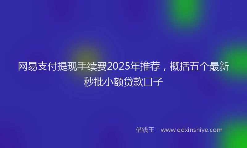 网易支付提现手续费2025年推荐，概括五个最新秒批小额贷款口子