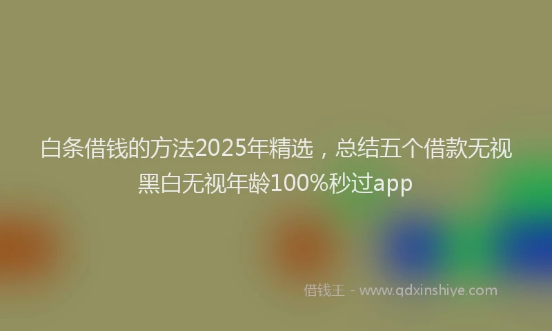 白条借钱的方法2025年精选，总结五个借款无视黑白无视年龄100%秒过app