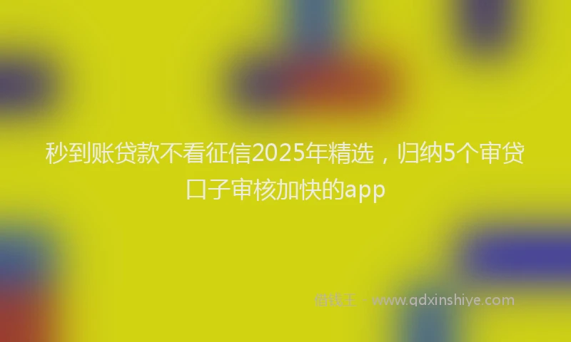 秒到账贷款不看征信2025年精选，归纳5个审贷口子审核加快的app