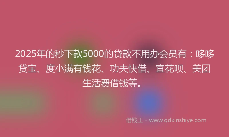 2025年的秒下款5000的贷款不用办会员有：哆哆贷宝、度小满有钱花、功夫快借、宜花呗、美团生活费借钱等。