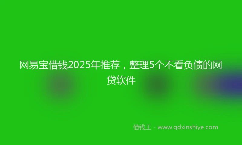 网易宝借钱2025年推荐，整理5个不看负债的网贷软件