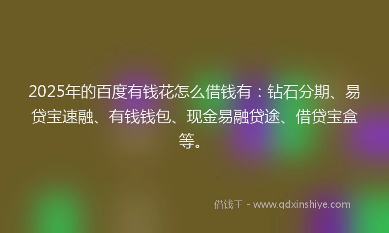 2025年的百度有钱花怎么借钱有：钻石分期、易贷宝速融、有钱钱包、现金易融贷途、借贷宝盒等。