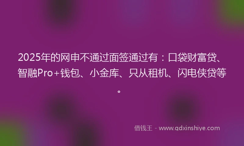 2025年的网申不通过面签通过有：口袋财富贷、智融Pro+钱包、小金库、只从租机、闪电侠贷等。