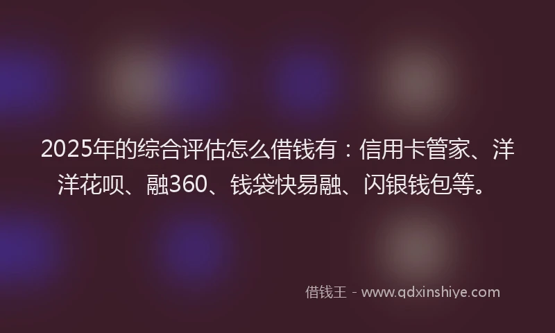 2025年的综合评估怎么借钱有：信用卡管家、洋洋花呗、融360、钱袋快易融、闪银钱包等。