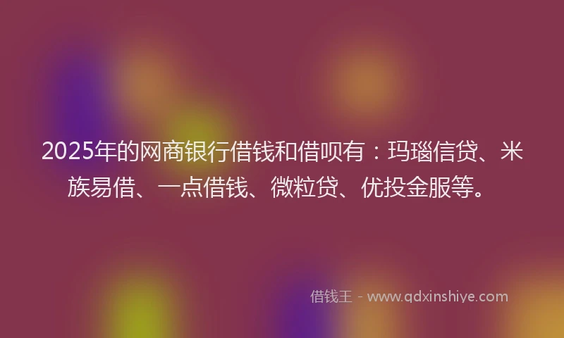 2025年的网商银行借钱和借呗有：玛瑙信贷、米族易借、一点借钱、微粒贷、优投金服等。