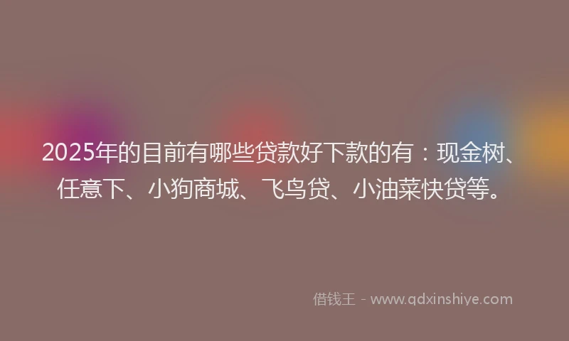 2025年的目前有哪些贷款好下款的有：现金树、任意下、小狗商城、飞鸟贷、小油菜快贷等。