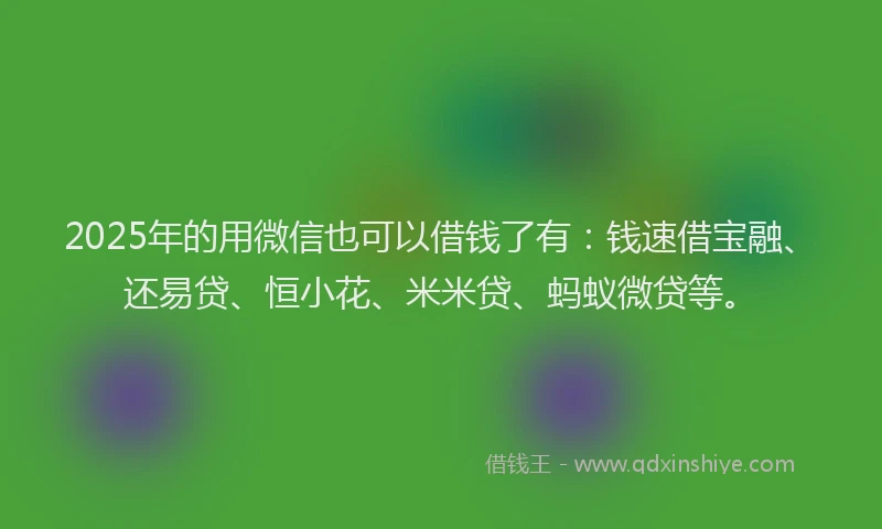 2025年的用微信也可以借钱了有：钱速借宝融、还易贷、恒小花、米米贷、蚂蚁微贷等。