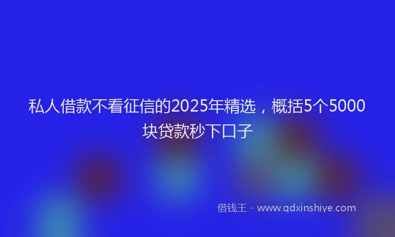 私人借款不看征信的2025年精选，概括5个5000块贷款秒下口子
