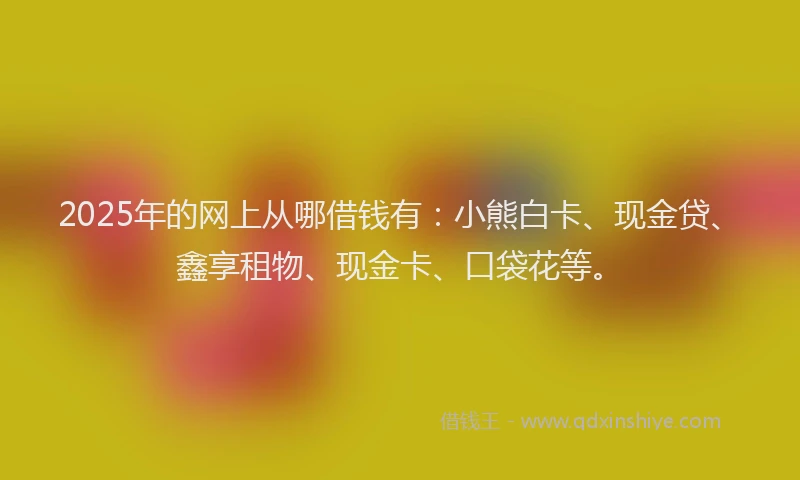 2025年的网上从哪借钱有：小熊白卡、现金贷、鑫享租物、现金卡、口袋花等。
