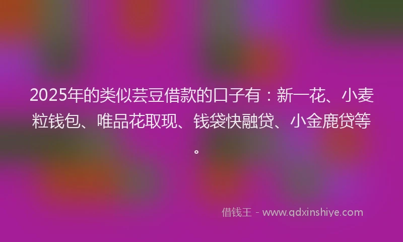 2025年的类似芸豆借款的口子有：新一花、小麦粒钱包、唯品花取现、钱袋快融贷、小金鹿贷等。