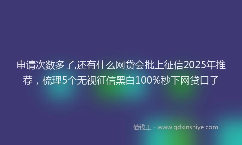申请次数多了,还有什么网贷会批上征信2025年推荐，梳理5个无视征信黑白100%秒下网贷口子