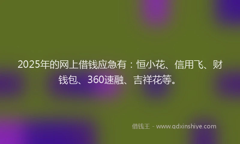 2025年的网上借钱应急有：恒小花、信用飞、财钱包、360速融、吉祥花等。