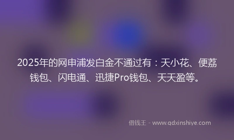 2025年的网申浦发白金不通过有：天小花、便荔钱包、闪电通、迅捷Pro钱包、天天盈等。