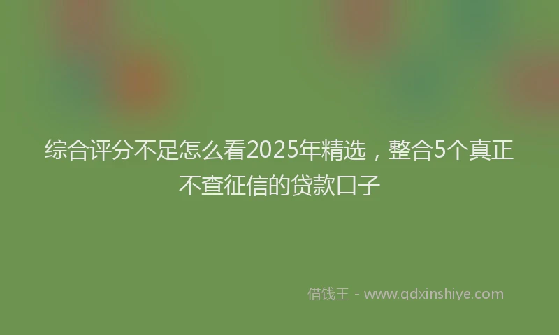 综合评分不足怎么看2025年精选，整合5个真正不查征信的贷款口子