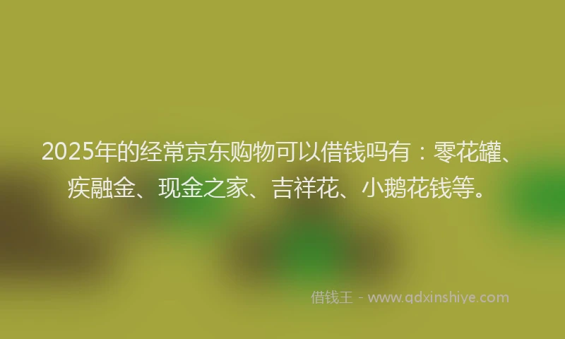 2025年的经常京东购物可以借钱吗有：零花罐、疾融金、现金之家、吉祥花、小鹅花钱等。