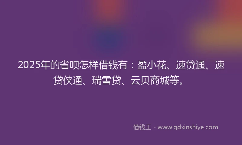 2025年的省呗怎样借钱有：盈小花、速贷通、速贷侠通、瑞雪贷、云贝商城等。