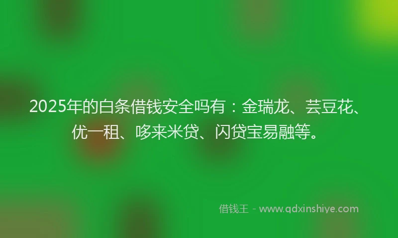 2025年的白条借钱安全吗有：金瑞龙、芸豆花、优一租、哆来米贷、闪贷宝易融等。