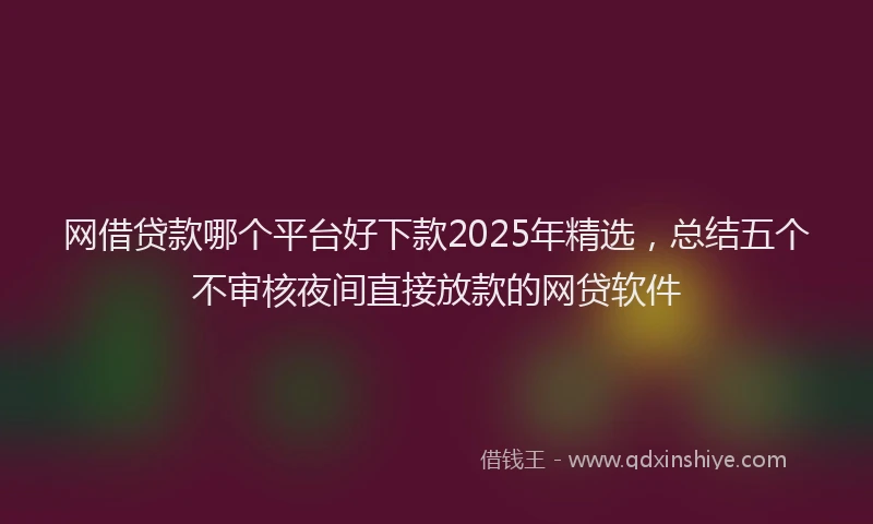 网借贷款哪个平台好下款2025年精选，总结五个不审核夜间直接放款的网贷软件