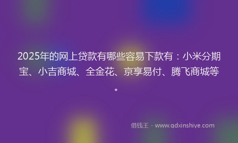 2025年的网上贷款有哪些容易下款有：小米分期宝、小吉商城、全金花、京享易付、腾飞商城等。