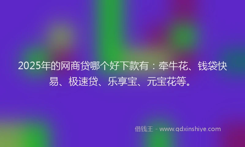 2025年的网商贷哪个好下款有：牵牛花、钱袋快易、极速贷、乐享宝、元宝花等。
