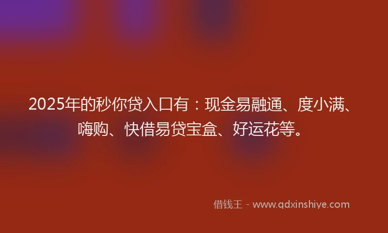 2025年的秒你贷入口有：现金易融通、度小满、嗨购、快借易贷宝盒、好运花等。