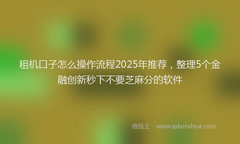 租机口子怎么操作流程2025年推荐，整理5个金融创新秒下不要芝麻分的软件