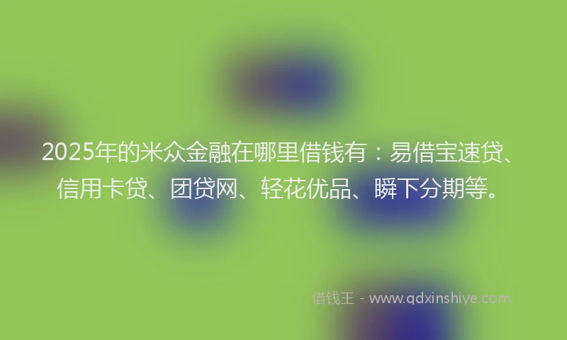 2025年的米众金融在哪里借钱有：易借宝速贷、信用卡贷、团贷网、轻花优品、瞬下分期等。