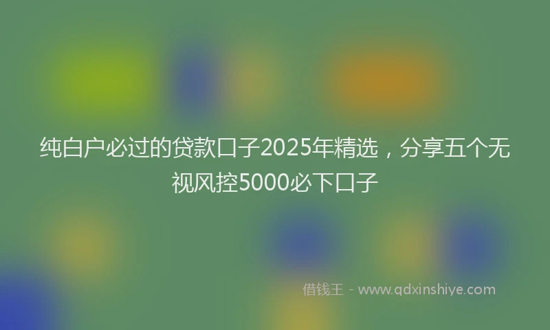 纯白户必过的贷款口子2025年精选，分享五个无视风控5000必下口子