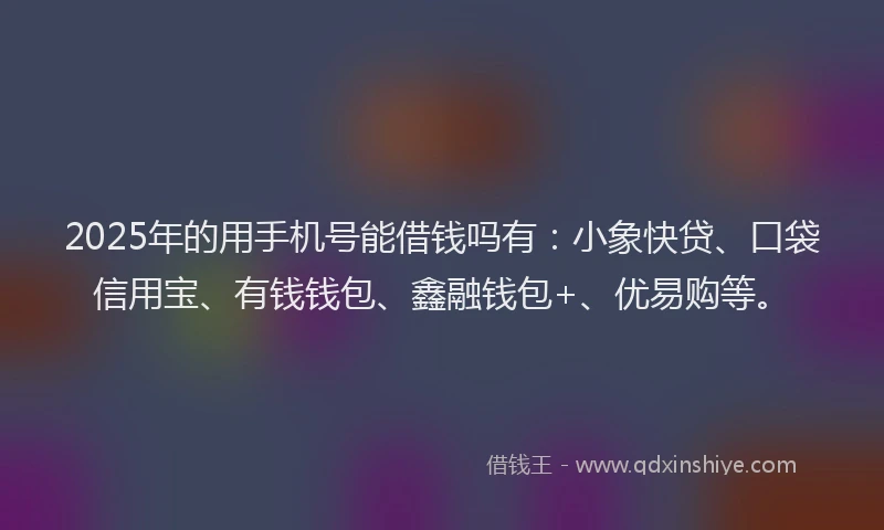 2025年的用手机号能借钱吗有：小象快贷、口袋信用宝、有钱钱包、鑫融钱包+、优易购等。