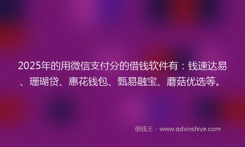 2025年的用微信支付分的借钱软件有：钱速达易、珊瑚贷、惠花钱包、甄易融宝、蘑菇优选等。