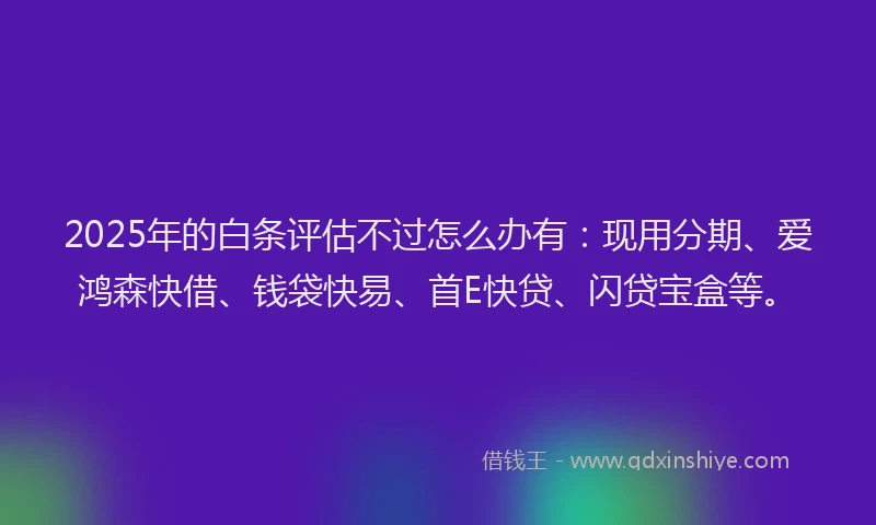 2025年的白条评估不过怎么办有：现用分期、爱鸿森快借、钱袋快易、首E快贷、闪贷宝盒等。
