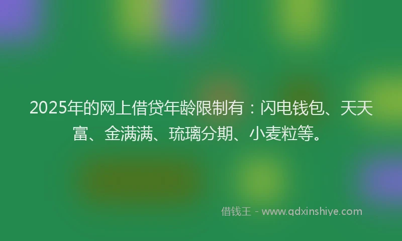 2025年的网上借贷年龄限制有：闪电钱包、天天富、金满满、琉璃分期、小麦粒等。