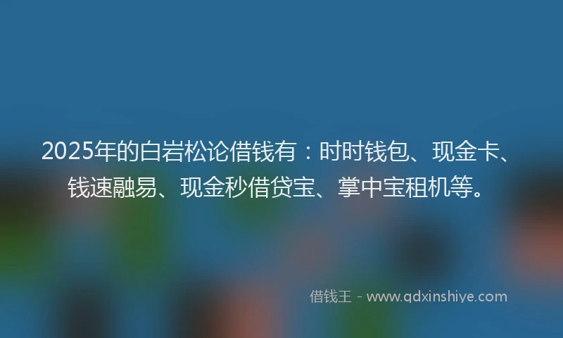 2025年的白岩松论借钱有：时时钱包、现金卡、钱速融易、现金秒借贷宝、掌中宝租机等。
