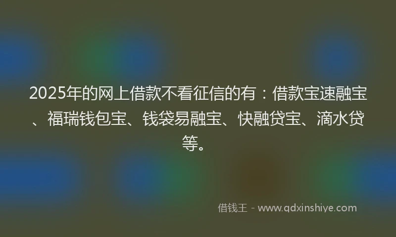 2025年的网上借款不看征信的有：借款宝速融宝、福瑞钱包宝、钱袋易融宝、快融贷宝、滴水贷等。