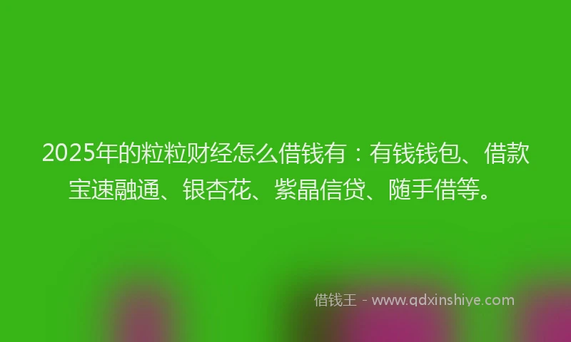 2025年的粒粒财经怎么借钱有：有钱钱包、借款宝速融通、银杏花、紫晶信贷、随手借等。