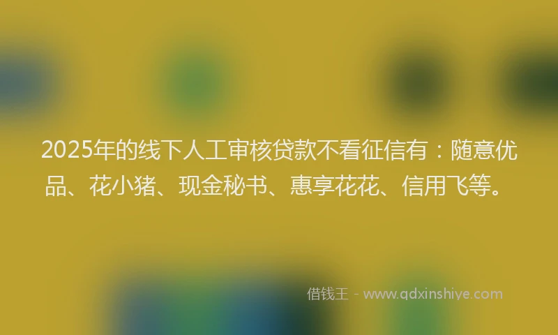 2025年的线下人工审核贷款不看征信有：随意优品、花小猪、现金秘书、惠享花花、信用飞等。