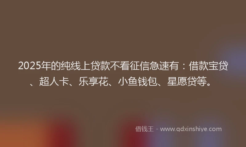 2025年的纯线上贷款不看征信急速有：借款宝贷、超人卡、乐享花、小鱼钱包、星愿贷等。