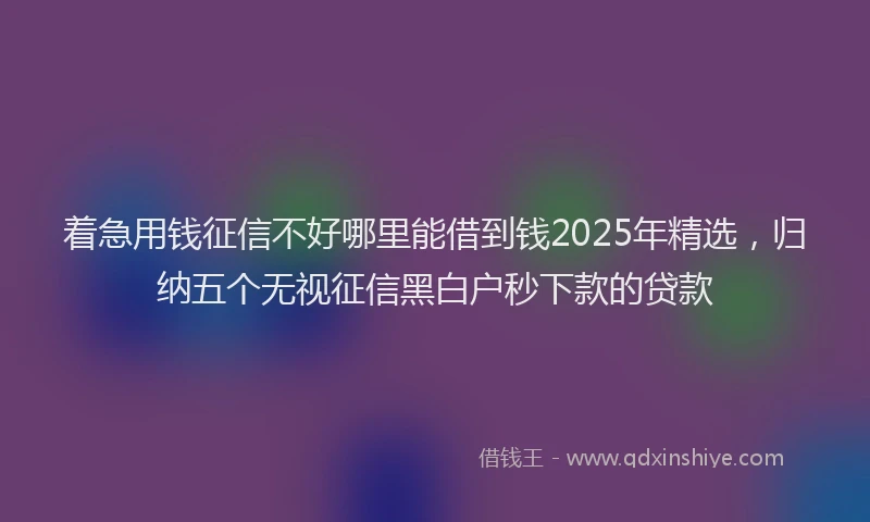 着急用钱征信不好哪里能借到钱2025年精选，归纳五个无视征信黑白户秒下款的贷款