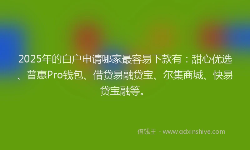 2025年的白户申请哪家最容易下款有：甜心优选、普惠Pro钱包、借贷易融贷宝、尔集商城、快易贷宝融等。