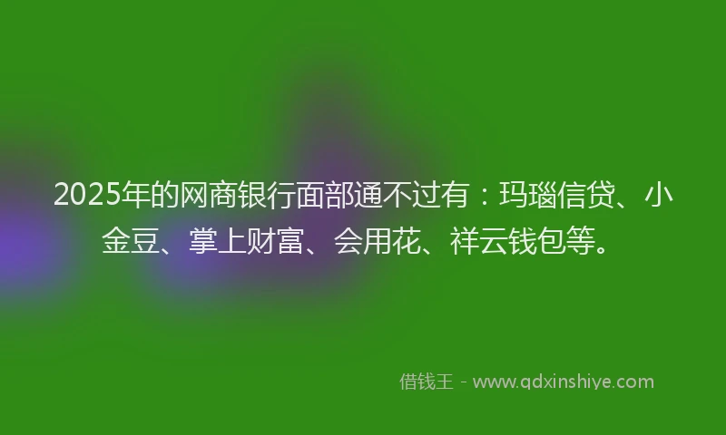 2025年的网商银行面部通不过有：玛瑙信贷、小金豆、掌上财富、会用花、祥云钱包等。