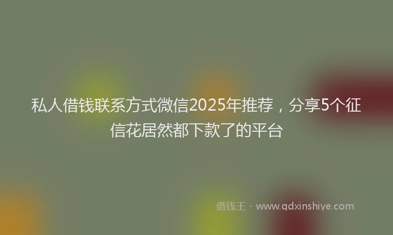 私人借钱联系方式微信2025年推荐，分享5个征信花居然都下款了的平台